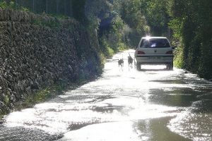 Foto pròpia / Camí Alaró - Santa Maria